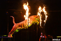 Цирковое шоу, Фото: 121