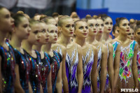 Всероссийские соревнования по художественной гимнастике на призы Посевиной, Фото: 18