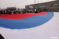 Митинг в честь Дня народного единства, Фото: 103