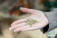 Как всё устроено: цех обжарки кофе в Туле, Фото: 10