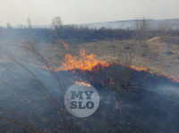 В Туле загорелось поле, Фото: 19