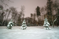 Вечерний снегопад, Фото: 24