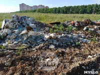 Свалка строительного мусора в Левобережном, Фото: 5