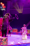 Цирковое шоу 5 континентов , Фото: 58