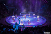 Грандиозное цирковое шоу «Песчаная сказка» впервые в Туле!, Фото: 32