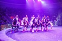 Шоу Гии Эрадзе «5 континентов» в Тульском цирке: феерия уже началась!, Фото: 107