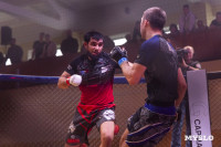 Турнир по ММА памяти Алексея Калинина собрал лучших бойцов страны: фоторепортаж, Фото: 121