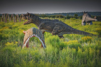 Парк динозавров, Фото: 4