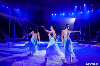 Премьера новогоднего шоу в Тульском цирке, Фото: 58