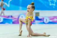 Тула провела крупный турнир по художественной гимнастике, Фото: 89