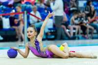 Тула провела крупный турнир по художественной гимнастике, Фото: 154