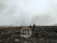 В Туле загорелось поле, Фото: 15