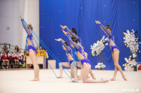 Соревнования по художественной гимнастике на призы благотворительного фонда «Земляки», Фото: 18