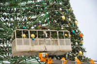 В Туле на площади Ленина разбирают главную новогоднюю ёлку, Фото: 1