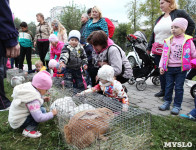 В Пролетарском округе Тулы начали праздновать День города, Фото: 28