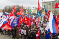 В Туле проходит митинг в поддержку Крыма, Фото: 28
