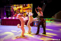 Новое шоу «Дикая планета» в Тульском цирке, Фото: 46
