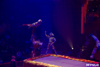 Премьера шоу Королевский цирк, Фото: 12