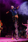 В Тульском цирке прошла премьера аква-шоу, Фото: 34