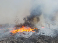 В Туле загорелось поле, Фото: 8