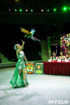 Новое шоу «Дикая планета» в Тульском цирке, Фото: 5