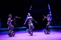Грандиозное цирковое шоу «Песчаная сказка» впервые в Туле!, Фото: 43