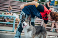 Всероссийская выставка собак в Туле: серьезные сенбернары, изящные пудели и милые шпицы, Фото: 31