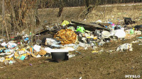 Поселок Славный в Тульской области зарастает мусором, Фото: 27