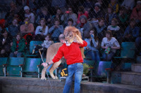 Новая программа в Тульском цирке «Нильские львы». 12 марта 2014, Фото: 5