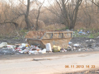 Ситуация с уборкой мусора в Пролетарском районе, Фото: 1