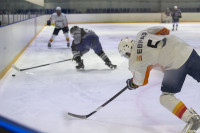 Команда ЕВРАЗ обыграла соперников в отборочном матче Тульской любительской хоккейной Лиги, Фото: 61