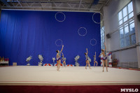 Соревнования по художественной гимнастике на призы благотворительного фонда «Земляки», Фото: 2