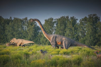 Парк динозавров, Фото: 3