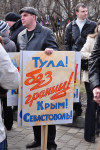 В Туле прошел митинг в поддержку Крыма, Фото: 27