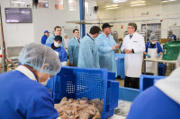 Дмитрий Миляев посетил предприятие по производству замороженной рыбы и полуфабрикатов, Фото: 25