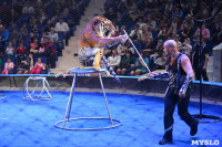 Цирковое шоу, Фото: 131