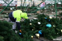 В Туле убирают главную новогоднюю ёлку , Фото: 3