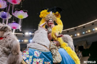 Грандиозное цирковое шоу «Песчаная сказка» впервые в Туле!, Фото: 8