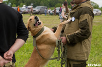 ХII Всероссийская выставка охотничьих собак, Фото: 48