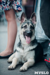 Всероссийская выставка собак в Туле, Фото: 120