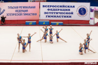 Соревнования по эстетической гимнастике «Кубок Роксэт», Фото: 26