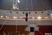 «В Тульском цирке прошла открытая репетиция программы «Цирк зажигает огни», Фото: 53