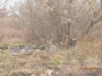 Ситуация с уборкой мусора в Пролетарском районе, Фото: 6