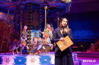 Династийные жонглеры поделились опытом с юными артистами Тульского цирка, Фото: 12