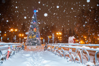 Сказочная зима в Туле, Фото: 21