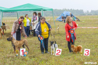 Международная выставка собак, Барсучок. 5.09.2015, Фото: 35