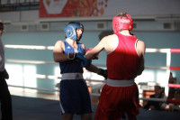 Первенство Тульской области по боксу, Фото: 42