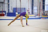 Спортивная гимнастика в Туле 3.12, Фото: 120