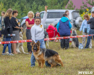 Международная выставка собак, Барсучок. 5.09.2015, Фото: 53