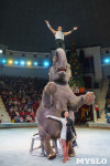 Шоу слонов в Тульском цирке, Фото: 63